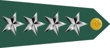 Plik:223px-US Army O10 shoulderboard rotated.svg.png